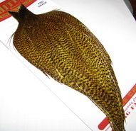 ������ ������ Whiting dry fly pro-grade cape grizzly golden olive